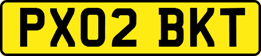 PX02BKT