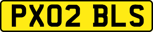 PX02BLS