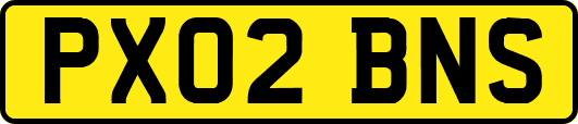PX02BNS