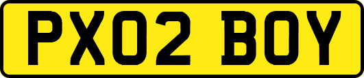 PX02BOY