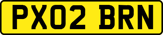 PX02BRN