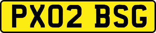 PX02BSG