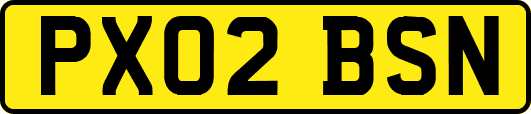 PX02BSN