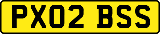 PX02BSS