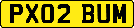 PX02BUM
