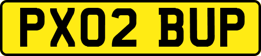 PX02BUP
