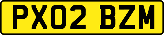 PX02BZM