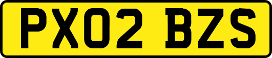 PX02BZS