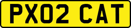 PX02CAT