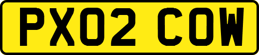 PX02COW