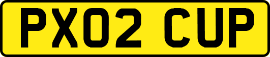 PX02CUP