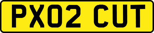 PX02CUT