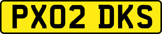 PX02DKS