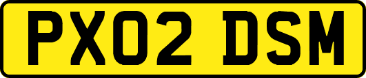 PX02DSM
