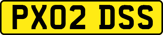 PX02DSS