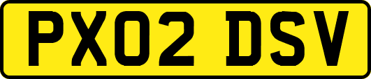 PX02DSV