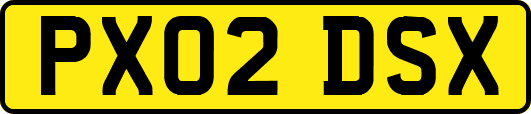 PX02DSX