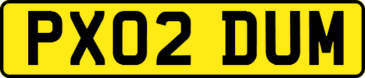 PX02DUM