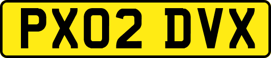 PX02DVX