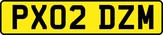 PX02DZM
