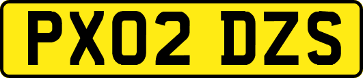 PX02DZS