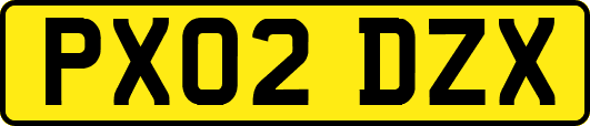 PX02DZX