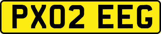 PX02EEG