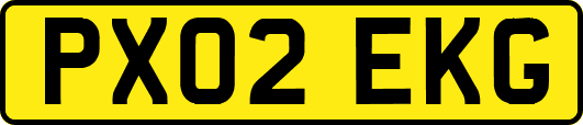 PX02EKG