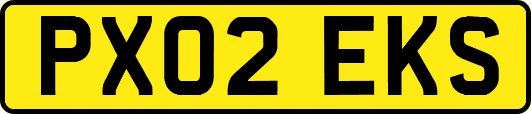 PX02EKS