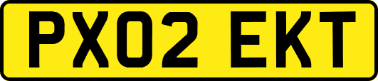 PX02EKT