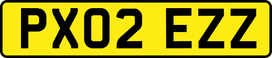 PX02EZZ