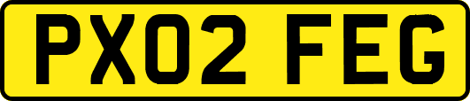 PX02FEG