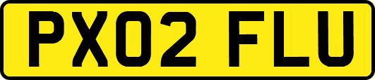 PX02FLU