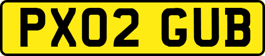PX02GUB