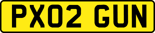 PX02GUN