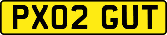 PX02GUT