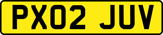 PX02JUV