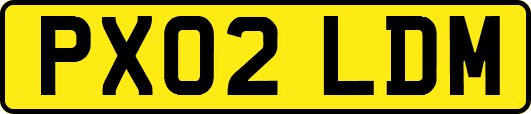 PX02LDM