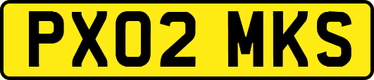 PX02MKS