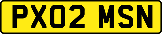 PX02MSN