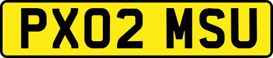PX02MSU