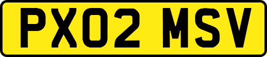 PX02MSV