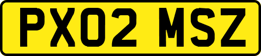 PX02MSZ