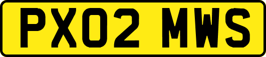 PX02MWS