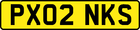 PX02NKS
