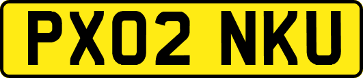 PX02NKU