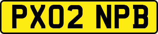 PX02NPB