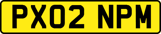 PX02NPM