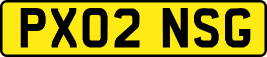 PX02NSG