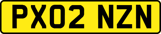 PX02NZN